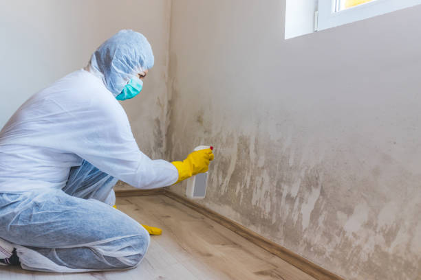Mold inspector in Fayetteville performing thermal imaging