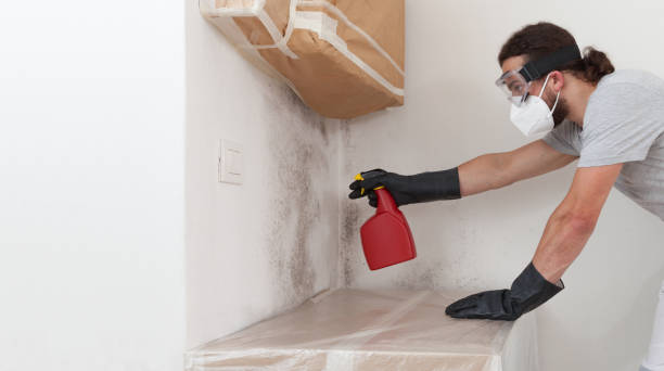 Attic Mold Remediation treatment on roof deck in Fayetteville